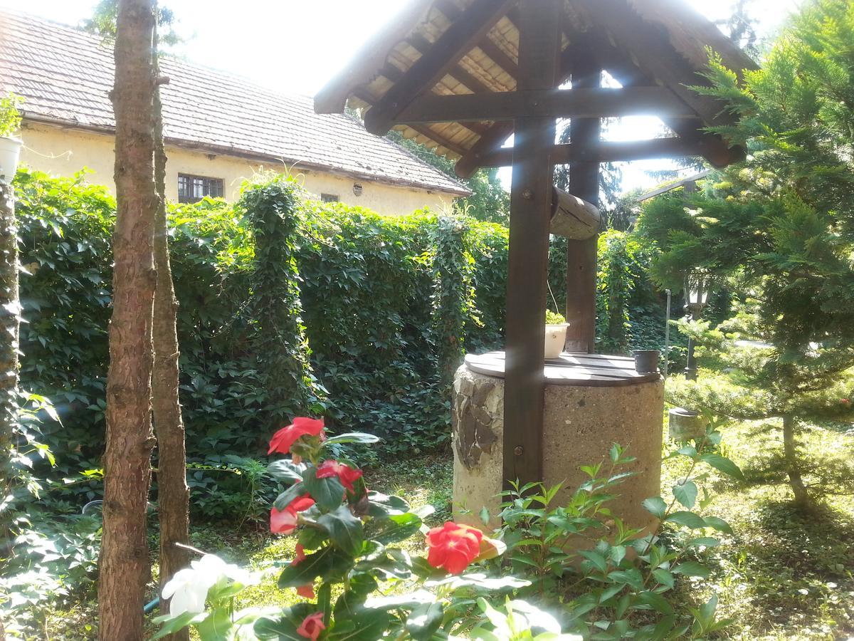 Felso Fogado Bed & Breakfast Felsőtold Dış mekan fotoğraf