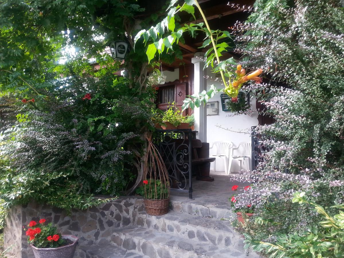Felso Fogado Bed & Breakfast Felsőtold Dış mekan fotoğraf